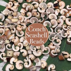 NEW NATURAL CUT SWIRL CONCH SEASHELLS SHELL JEWELRY MAKING CRAFTS DIY BEADS LOT